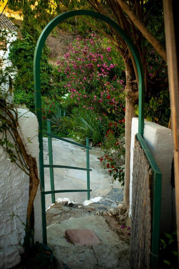 Casa Pina Country House マラガ エクステリア 写真