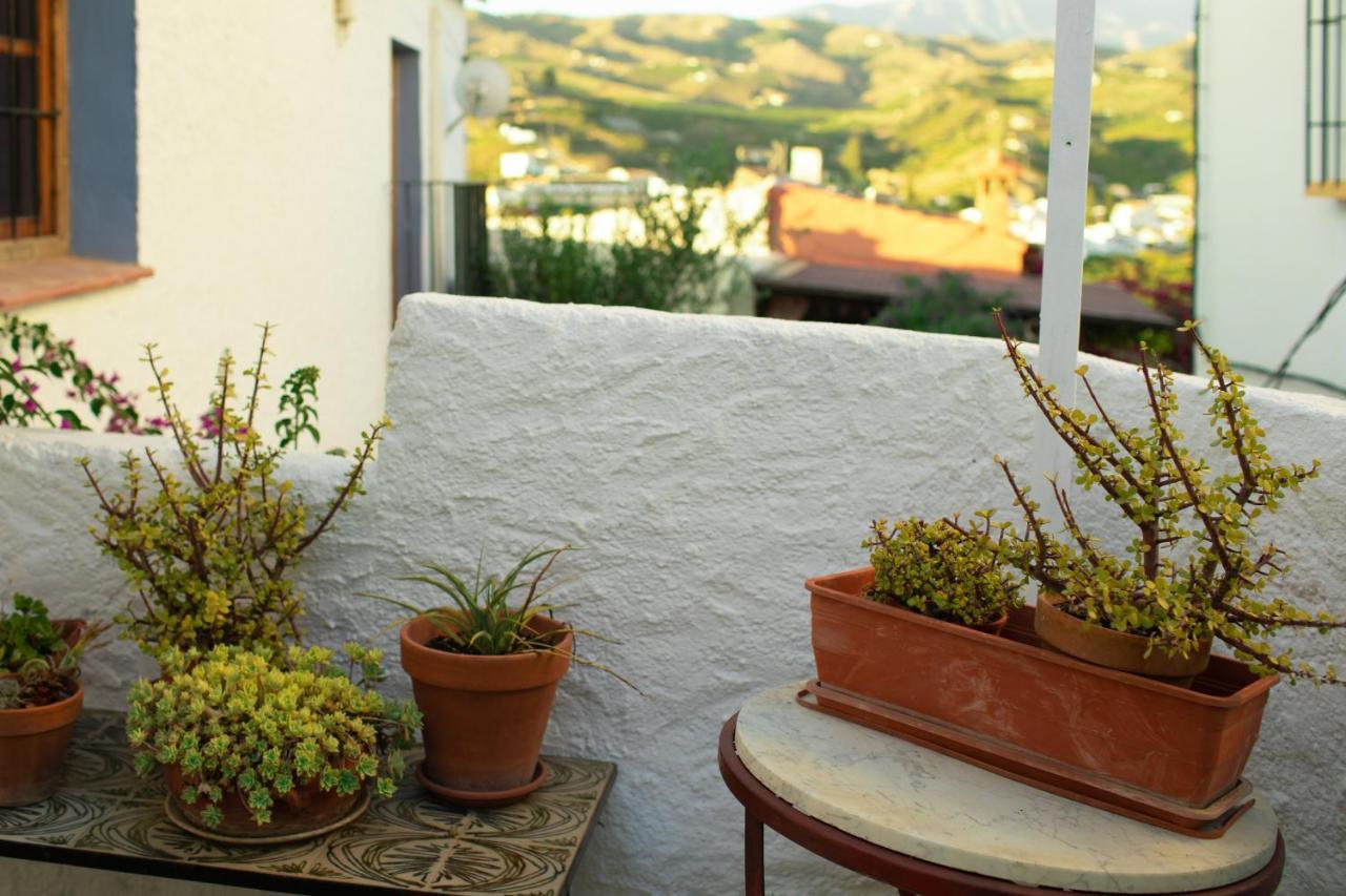 Casa Pina Country House マラガ エクステリア 写真