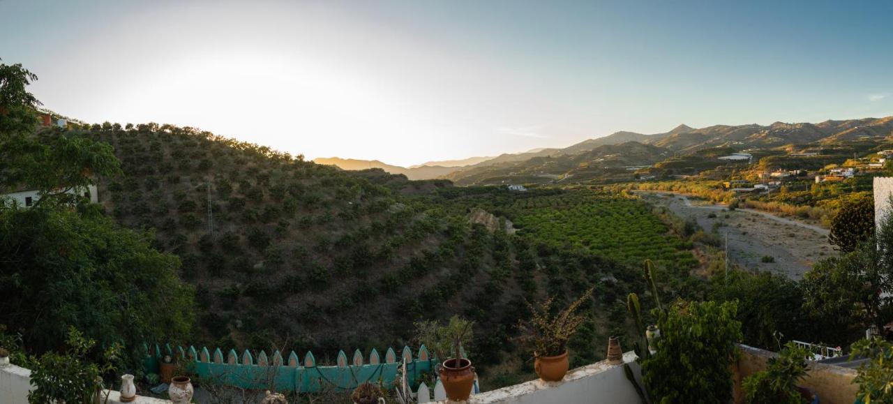 Casa Pina Country House マラガ エクステリア 写真
